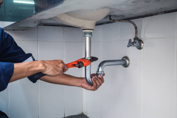 Best Local Plumber Services  in Roosevelt Gardens, FL