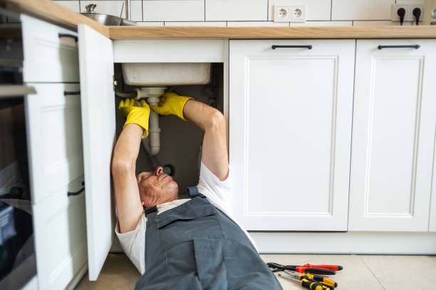  Roosevelt Gardens, FL Plumbing Pros
